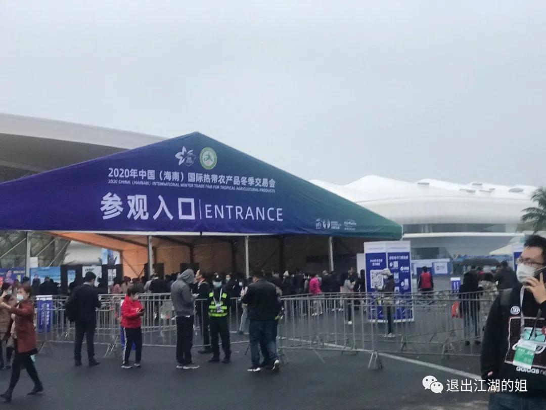 缘浅情淡，和人只说三分话（猫冬海南26）