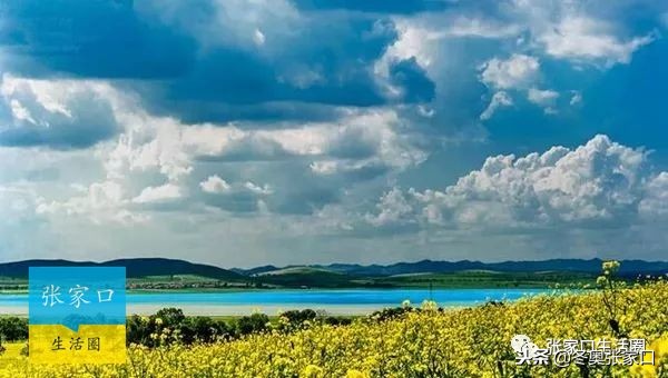 明天起张家口将全面爆发！这50个消息直接影响你的票子车子和日子