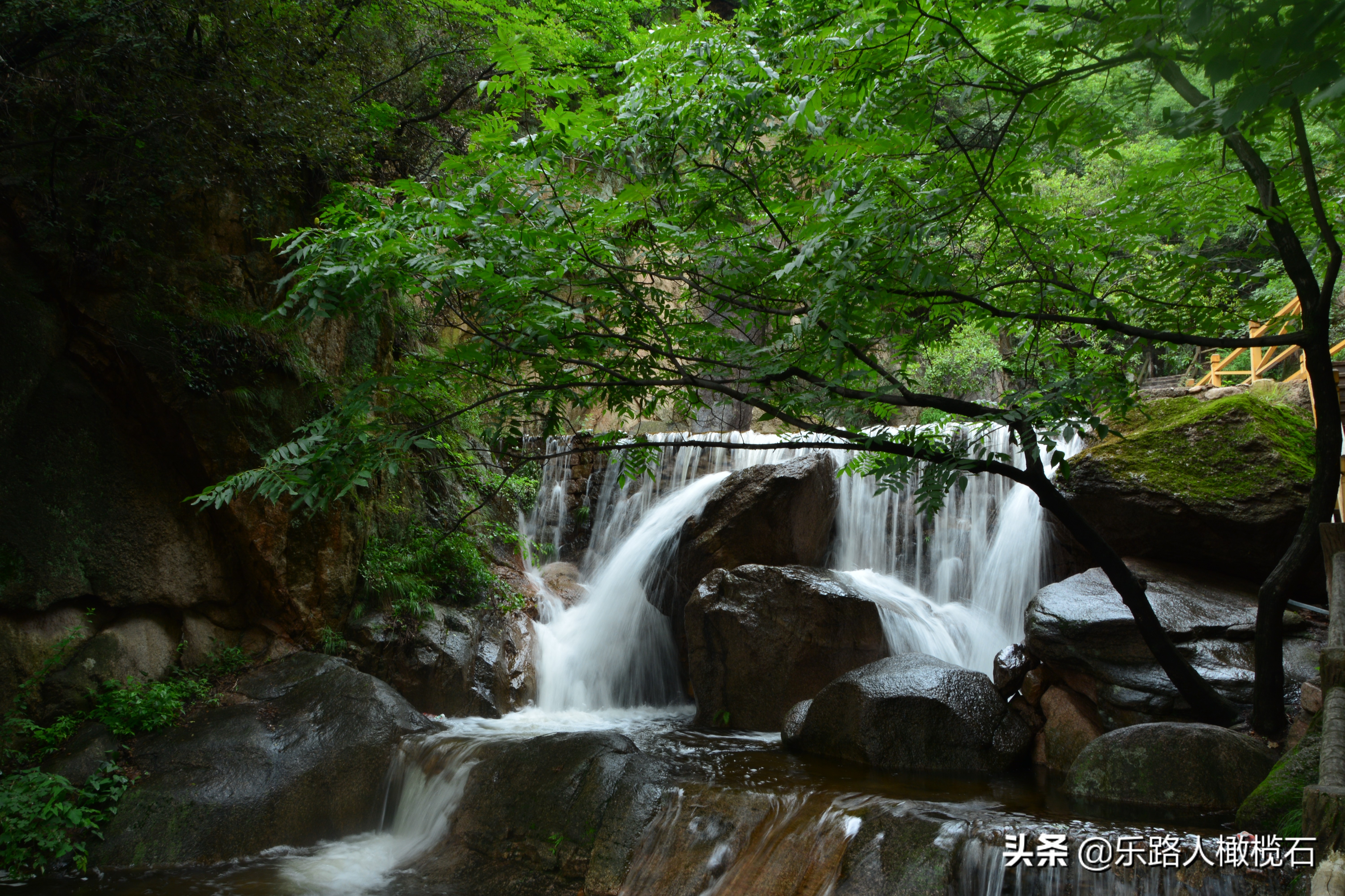 平顶山画眉谷旅游,河南鲁山免费景点