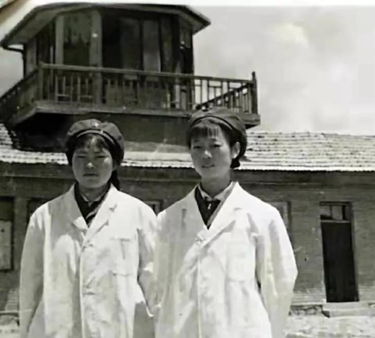 在*藏西**，我们的第三*战野**医院，我们的芳华……