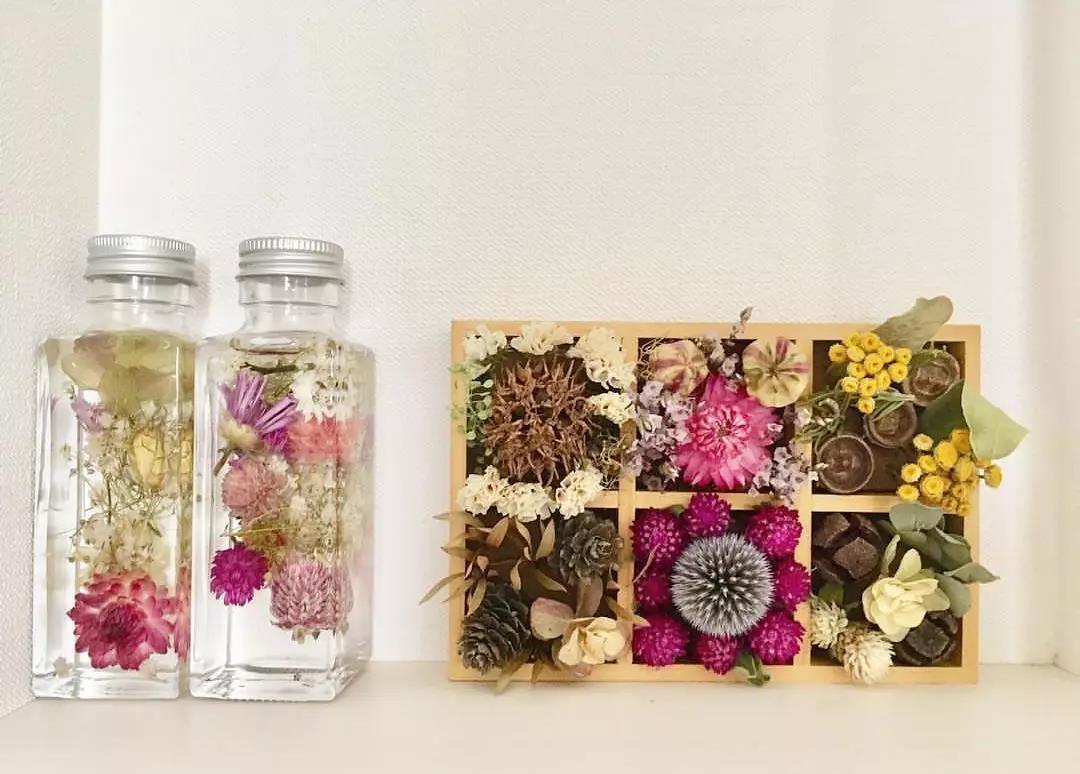 干花各种效果,干花的使用方法大全