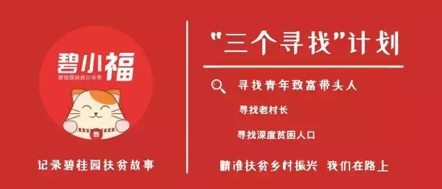 农村青年致富带头人总结,农村青年致富带头人计划开展情况