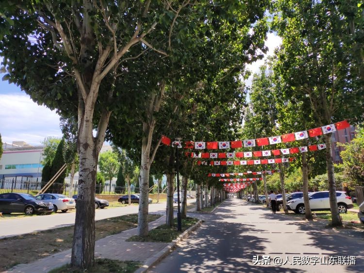 2019青岛世界博览城展会,青岛中韩博览会