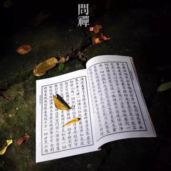 命硬如何化解,命硬命苦怎么办