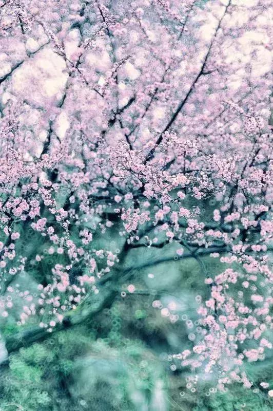 手机摄影好看的优秀作品,手机拍100个高逼格摄影作品