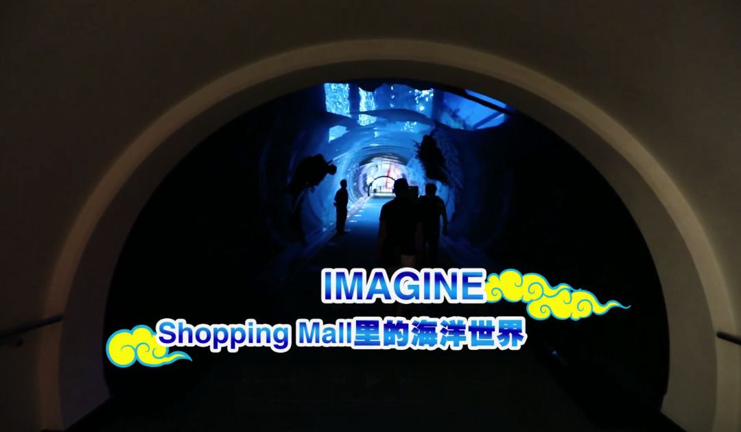 中国非遗文化走进国际学校,参观中国非遗博物馆