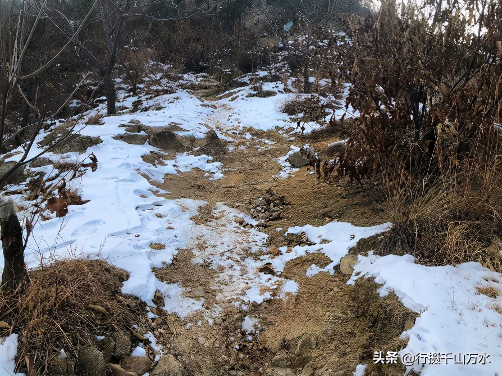 梯子山济南攻略,梯子山徒步攻略