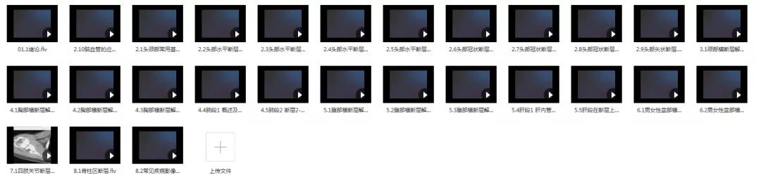 210G解剖学视频，包含系统、断层、运动、人体和局部解剖学