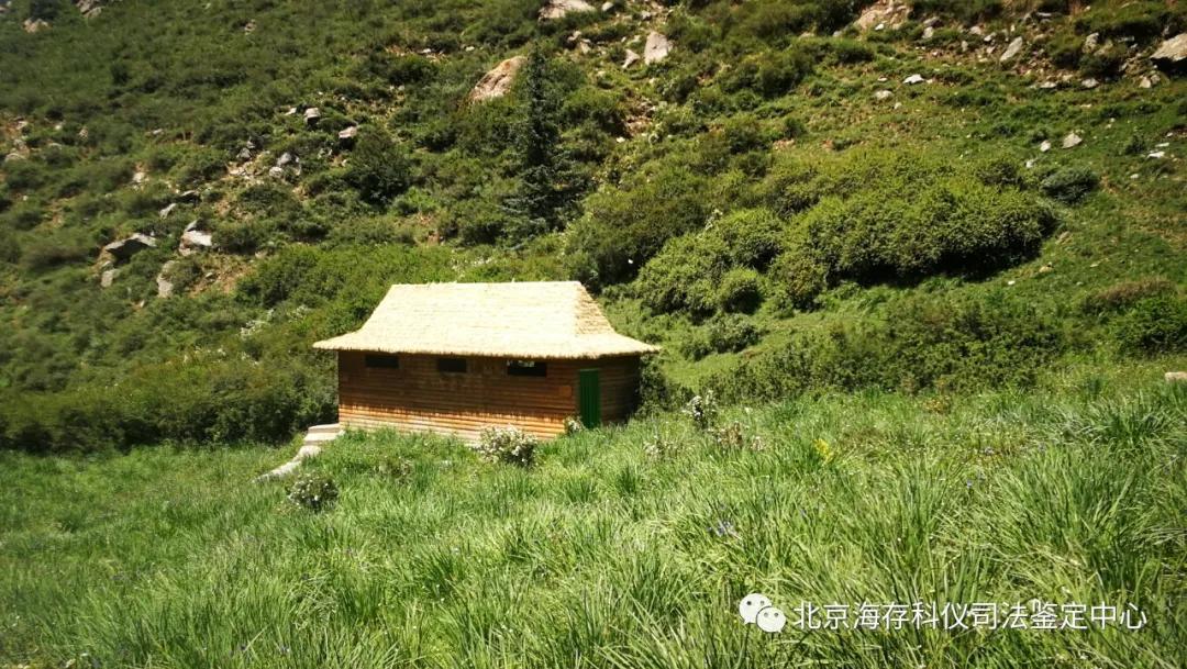 如果遇到套路贷款该怎么处理,遇到套路贷被威胁