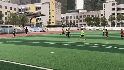 绿茵赛场展雄风,鼎足足球