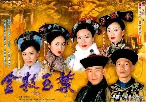 疫情在家看过的tv剧,疫情在家看的剧