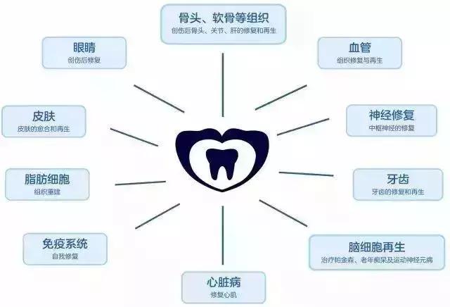 宝宝长乳牙关注事项及禁忌,一定要关注孩子的乳牙很重要