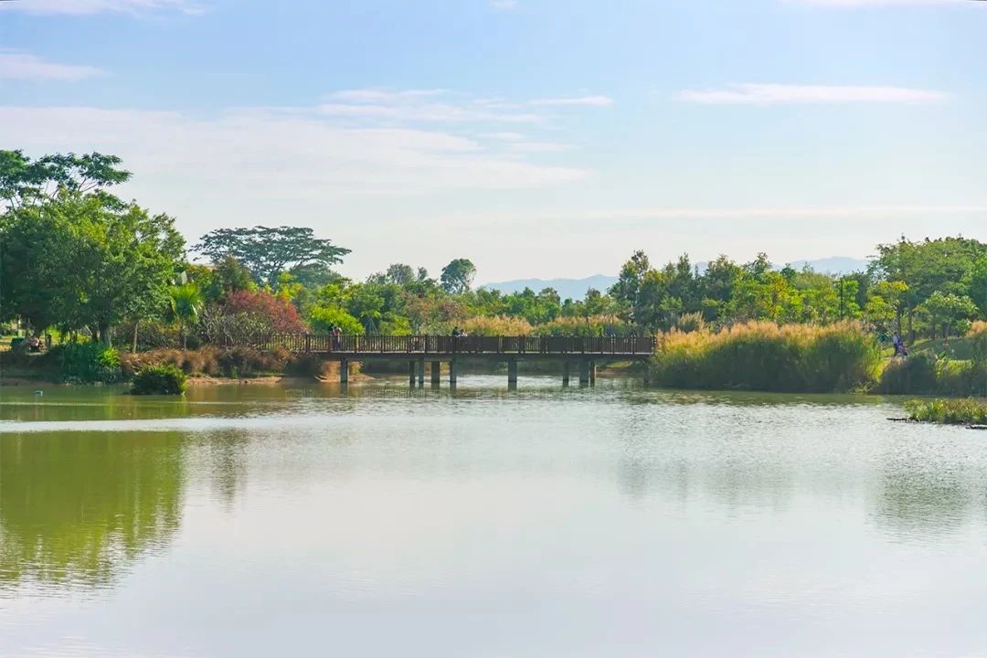 深圳周末浪漫好去处,深圳浪漫约会地点十个景点