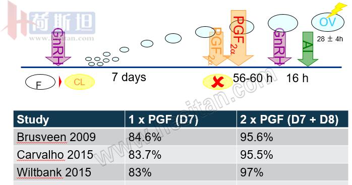 繁殖管理——使用双PG同期发情提高繁殖力