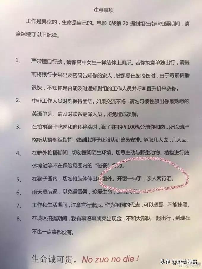吴京电影宝藏,吴京演了无价之宝吗