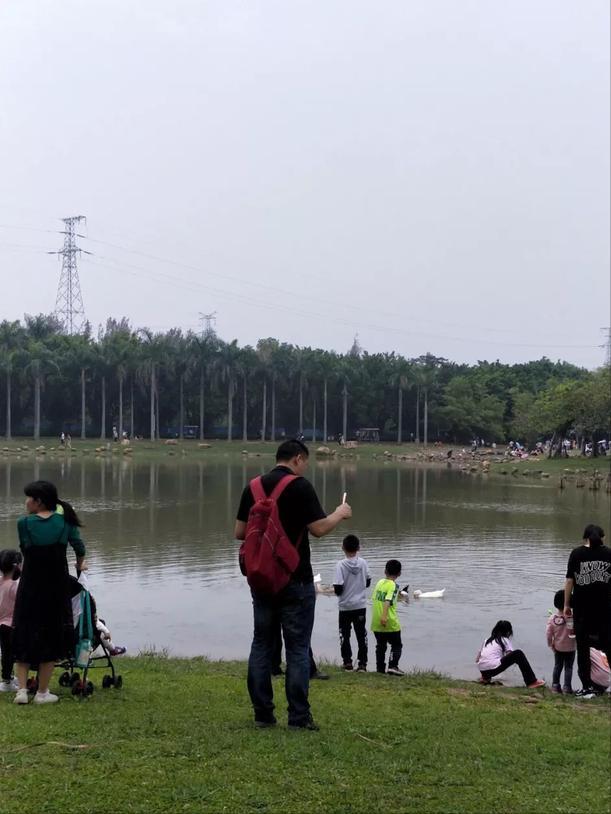 深圳海上田园一日游,深圳宝安海上田园风景