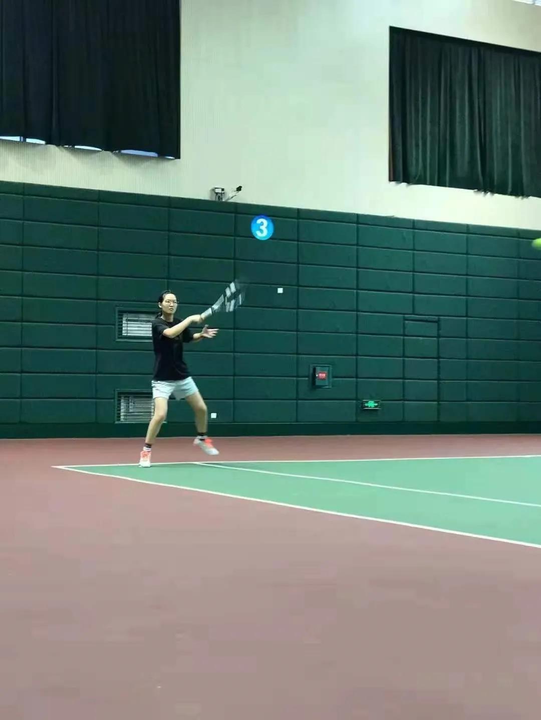 篮球足球排球台球网球,篮球足球羽毛球乒乓球排球图片