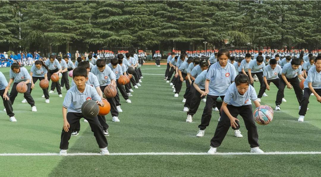 运动赛场展雄姿征文,运动盛会展风采