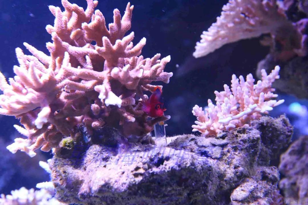 分享创富最佳方法,分享快速致富好项目