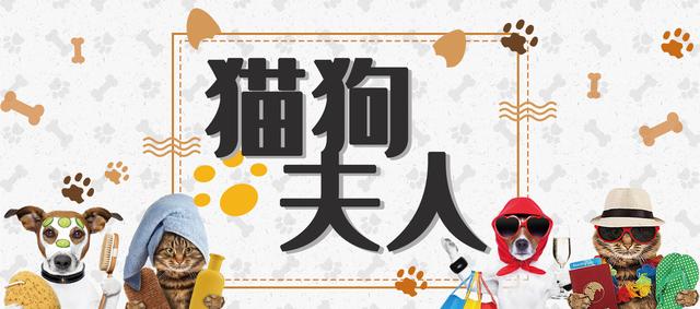 肥大性肌营养不良的症状表现,肥大性肌营养不良怎么办