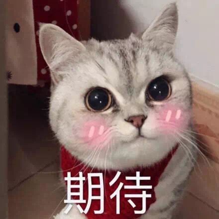 贵州大山中隐藏的地方,贵州大山里隐藏景点图片