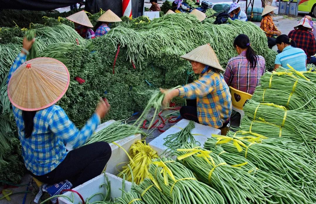 南北相济，中国580多个“菜篮子”是如何炼成的？