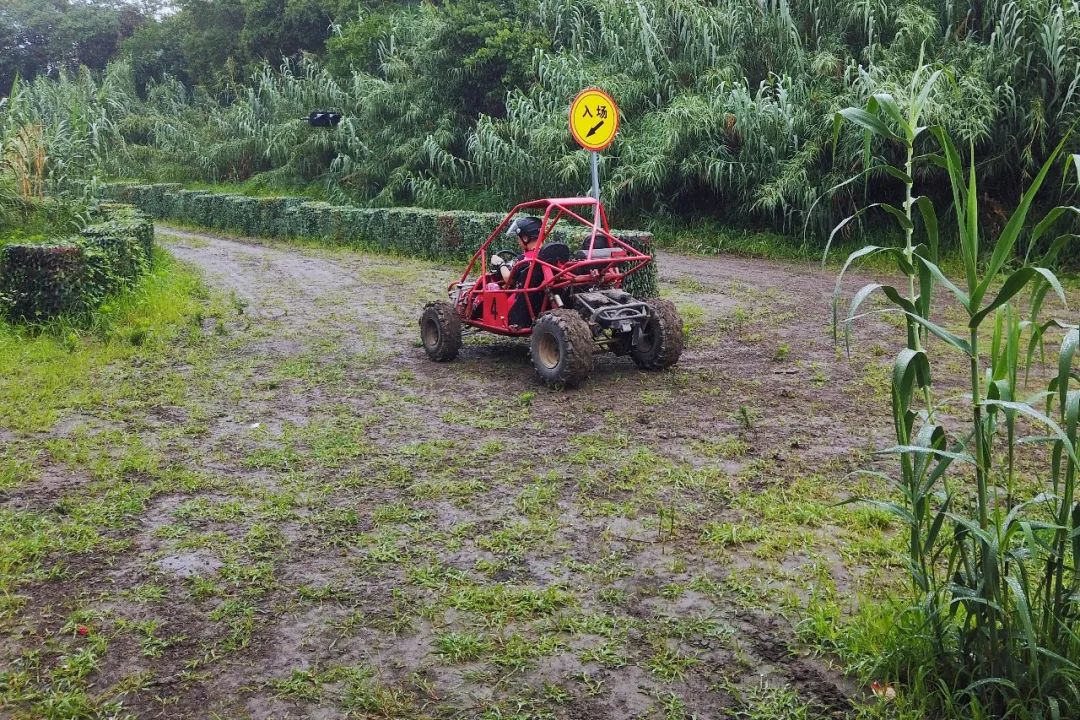 住进风景里感受温暖时光,住进夏天风景里