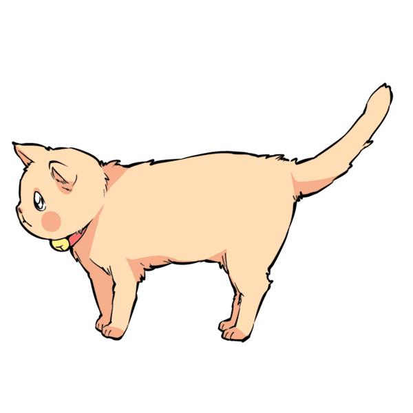 猫咪尾巴竖起来是什么意思,猫咪尾巴各种姿态含义