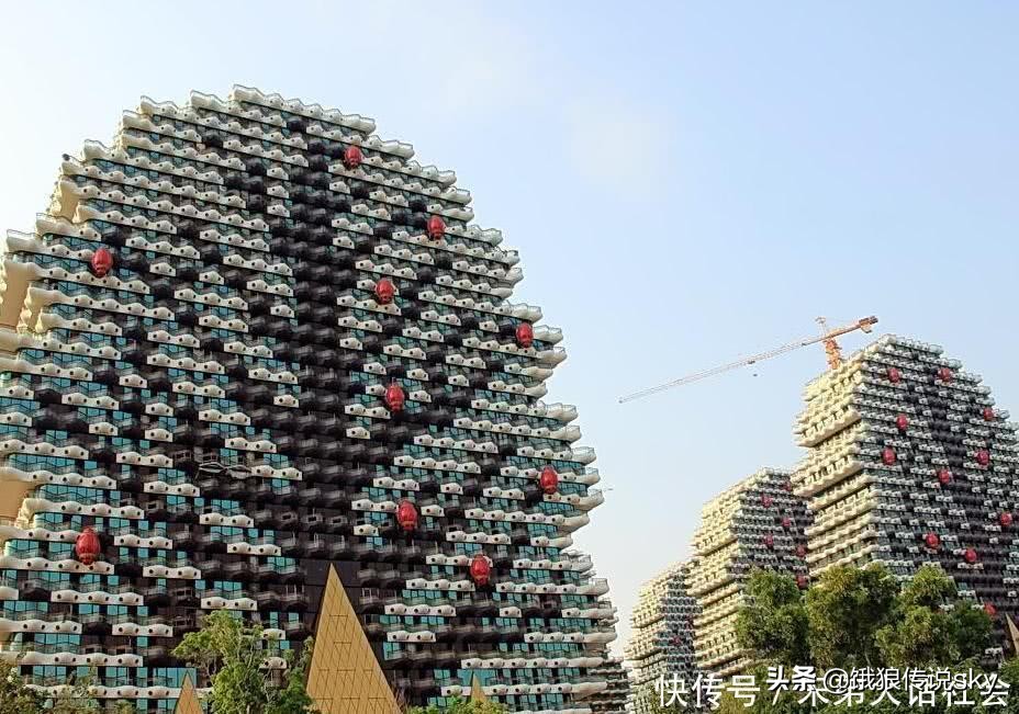 密集恐惧症心理分析,密集恐惧症并不可怕