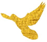 未了笔会丨年就要将我们紧紧拥抱