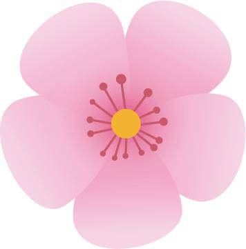 办案手记案件,办案人的办案手记