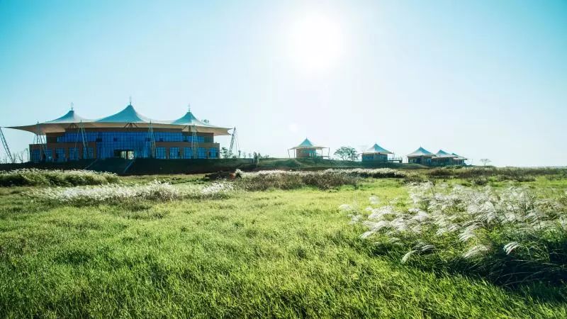 鄱阳湖帐篷节,草原帐篷节