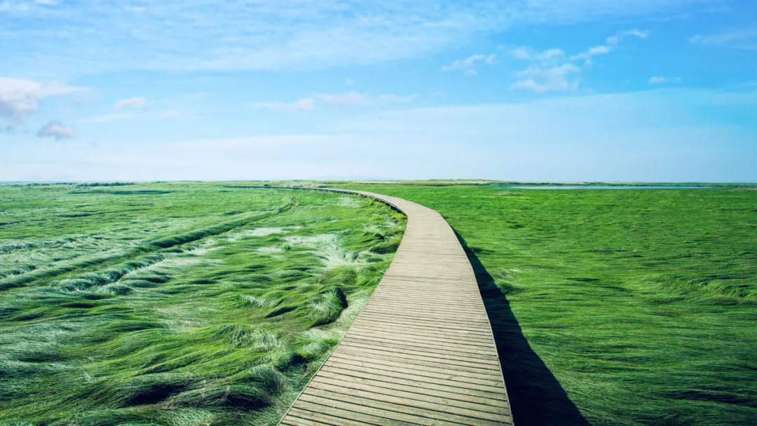 鄱阳湖帐篷节,草原帐篷节