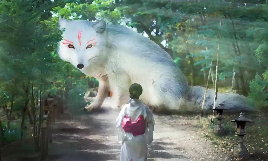 鄱阳湖帐篷节,草原帐篷节