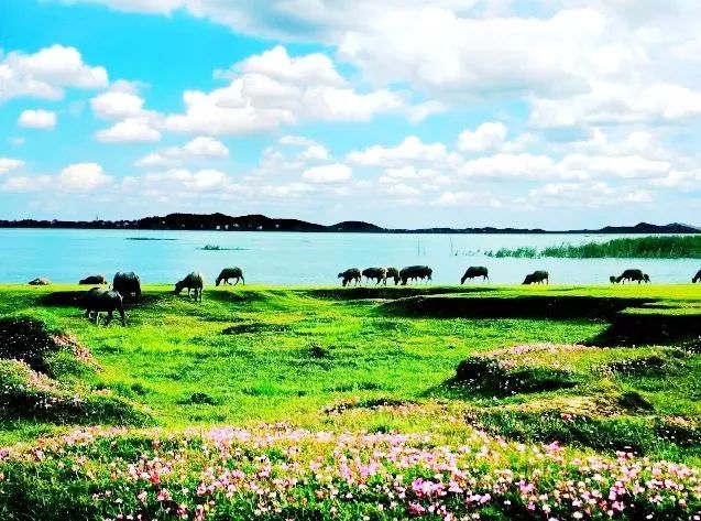 鄱阳湖帐篷节,草原帐篷节