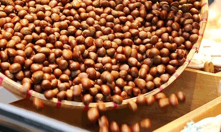 秋季大量上市的这个美食，怎样的才最好吃？