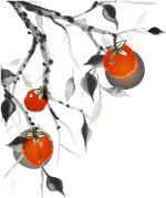 当年，他用一本诗集做毕业论文，轰动校园！