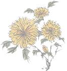 高度近视合并青光眼怎么治疗,高度近视与视网膜脱落