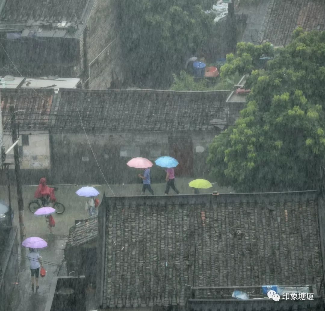 震撼心灵的大片！带你穿越百年塘厦，寻找塘厦历史传承的文化密码！
