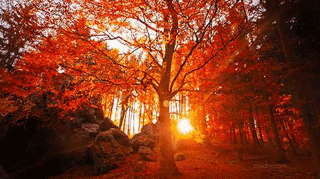 厉害了！再过不久，上海这些地方要“火”了！乘公共交通去围观