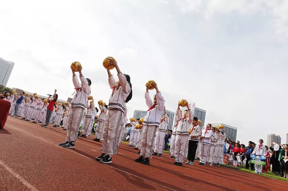 嘉兴市秀洲区区长杯足球联赛,区长杯足球比赛报道