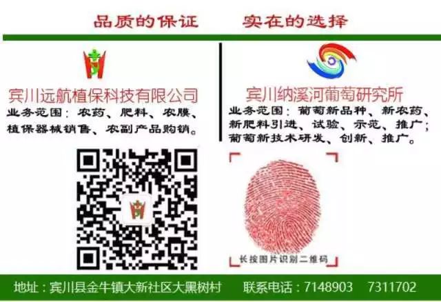 「壮丽70年•奋斗新时代」红色基因代代相传，宾川革命英烈红军小学开学第一课这样上