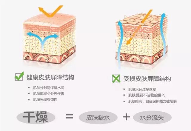 女明星高价护肤品,骆王宇推荐平价水乳秋冬补水保湿