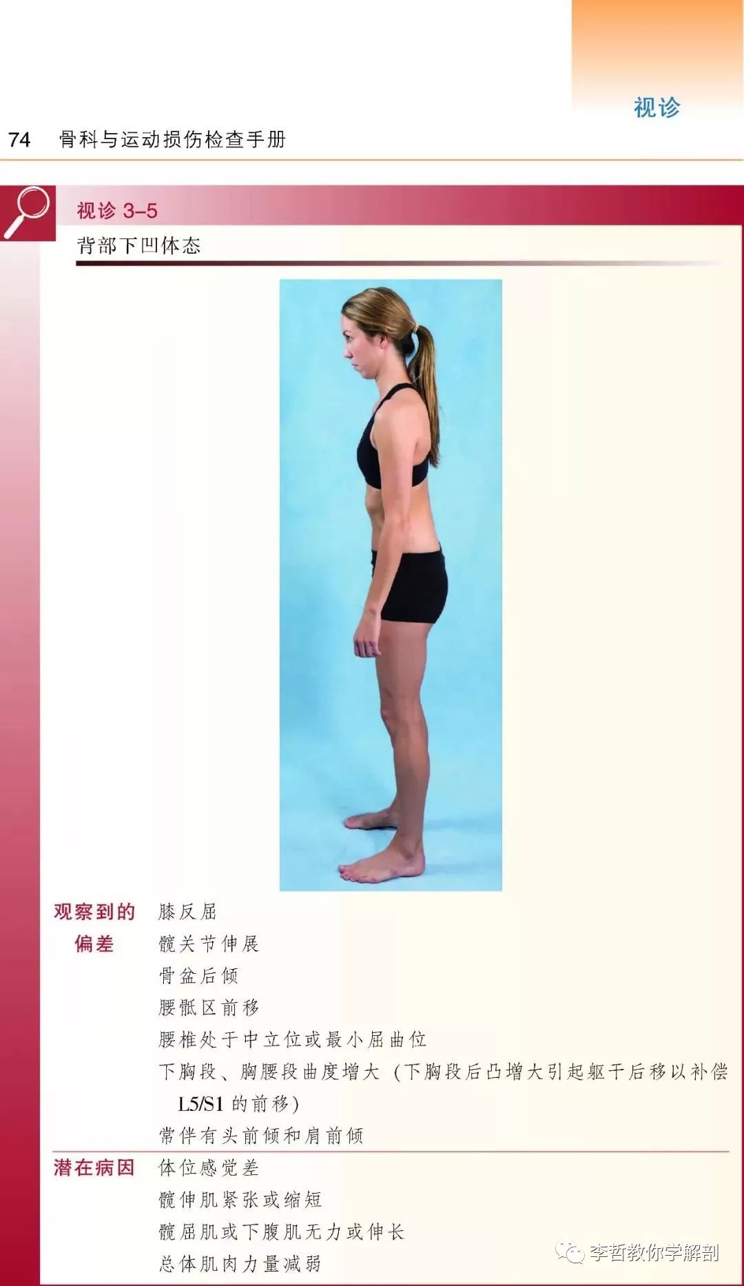 好书推荐｜《骨科与运动损伤检查手册》一本康复医生必须标配的书籍
