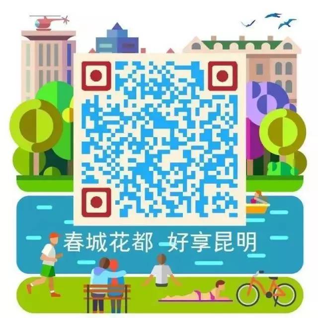 过节！以蓝花楹的名义