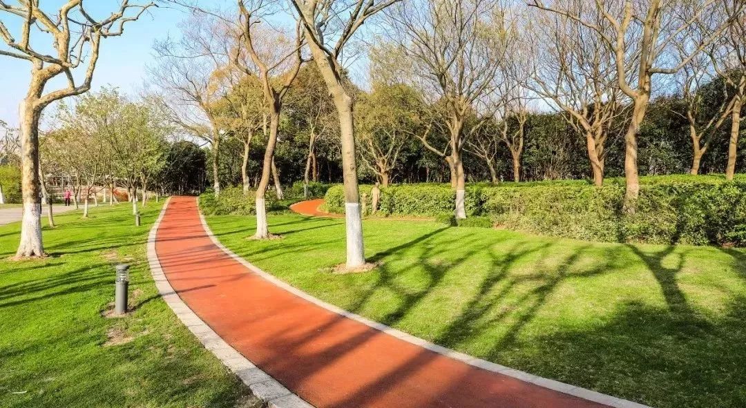 上海赏桂花好去处,江浙沪赏桂哪里去