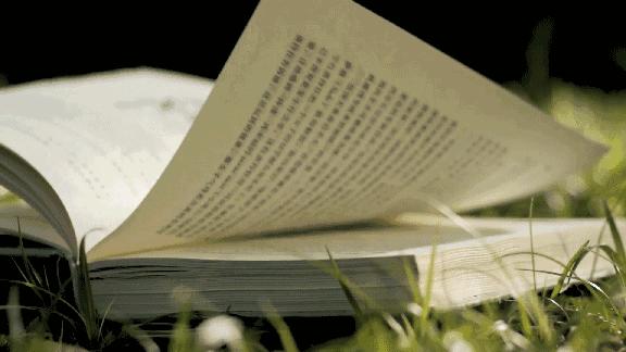 30个哈佛学霸高效学习法,许吉如哈佛学霸高效学习法