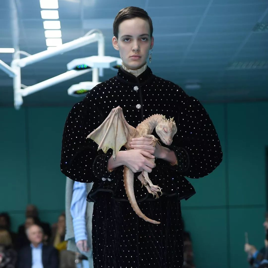 gucci宣传照,gucci展览原典