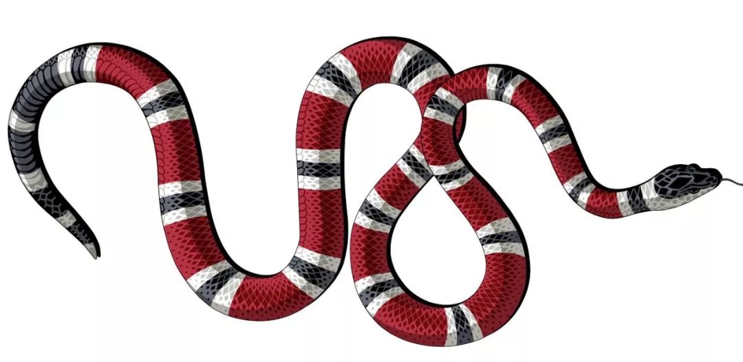 gucci宣传照,gucci展览原典