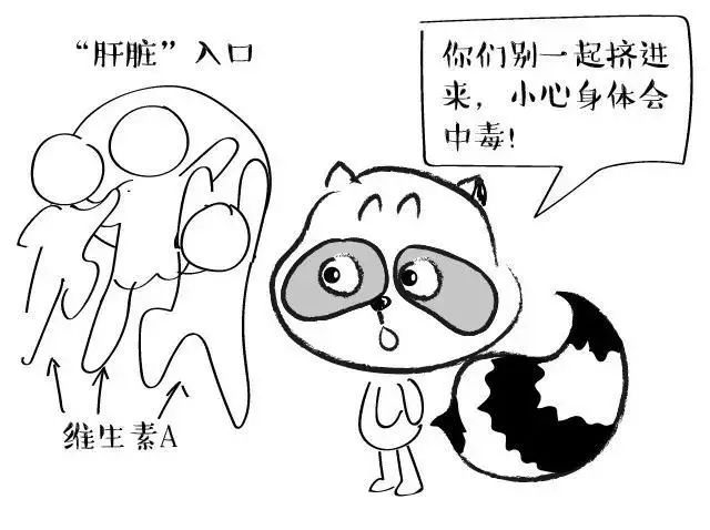 面对保健你应该知道哪些常识,保健观念的正确方式